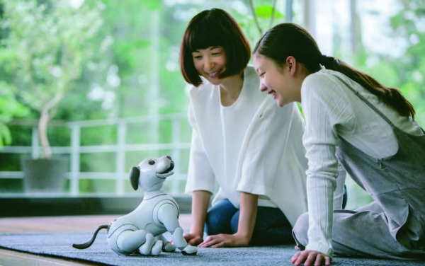 소니는 2006년 역사 속으로 사라졌던 아이보를 인공지능, 클라우드 컴퓨팅, 위치 정보 등의 최신 기술을 탑재해 2018년부터 재생산한다고 발표, 반려로봇의 인기를 실감케하고 있다. (출처: 소니)
