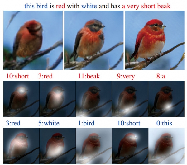 마이크로소프트의 AttnGAN은 새를 묘사한 텍스트에서 이미지를 만들어 낼 수 있다. (출처: 마이크로소프트)