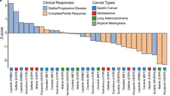 종양 스페로이드에 기반한 임상예측 알고리즘 확립 (자료:보건복지부)