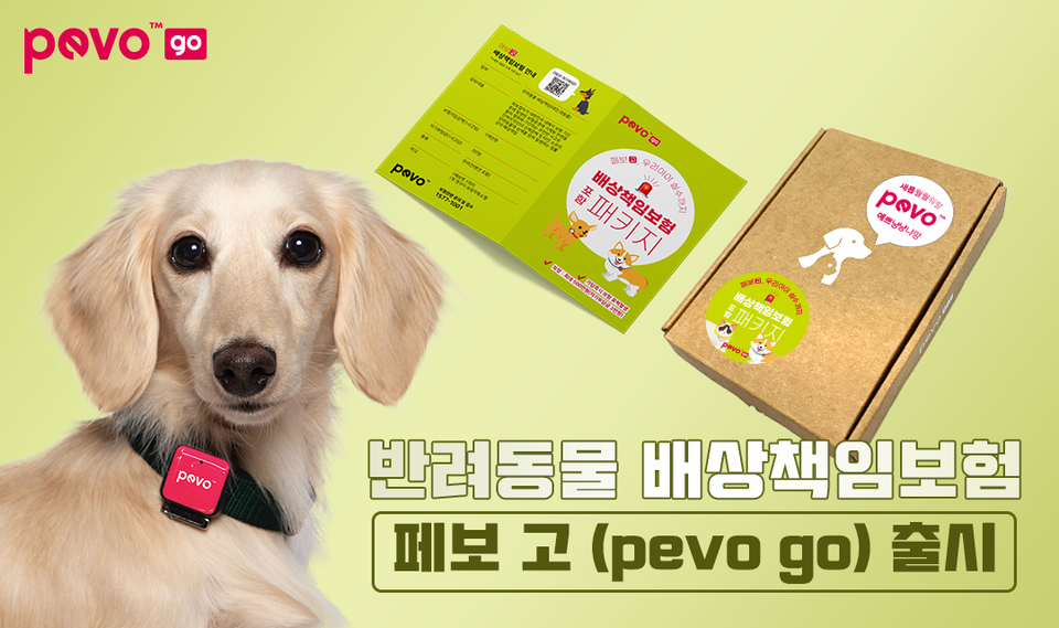 ㈜디디케어스의 ‘페보고’. (출처: 판교 창업존)