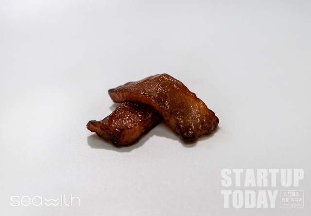 시위드가 개발한 해조류 기반 배양육. (출처: 블루포인트파트너스)