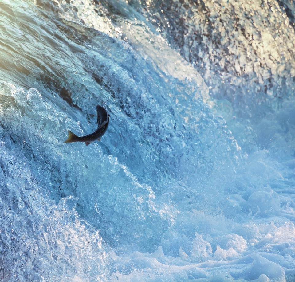 사진=게티이미지뱅크