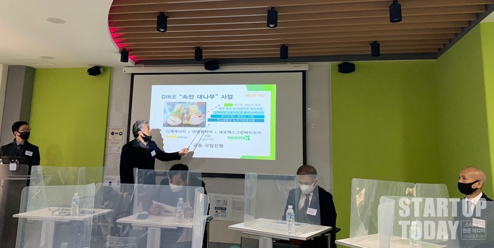 이창수 디케에너지 대표가 디케 속찬 대나무(사진=)