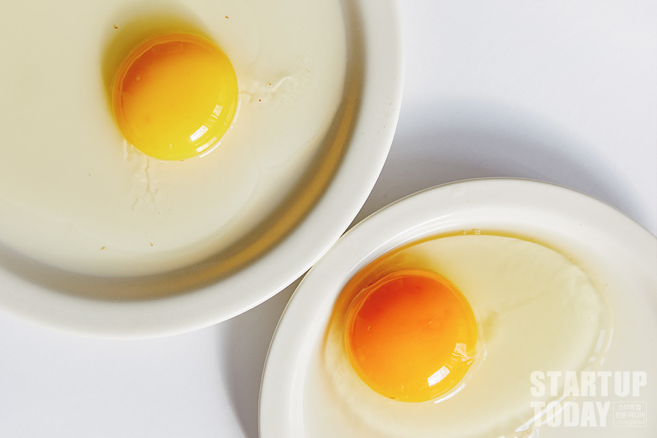 일반 계란(왼쪽)과 클로렐라 계란(오른쪽)을 비교한 모습. (사진= 월간계란)