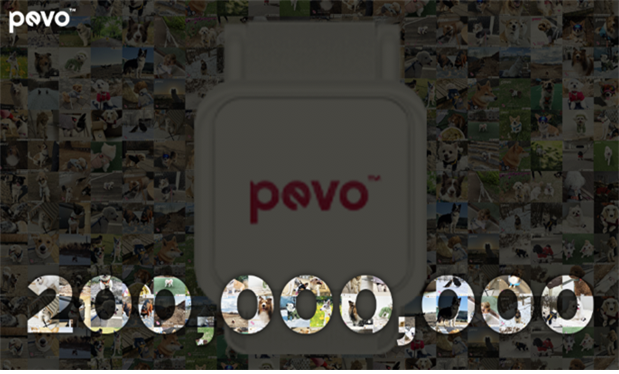 페보가 수신한 반려견의 누적 활동시간 총 2억 분. (사진=디디케어스 제공)