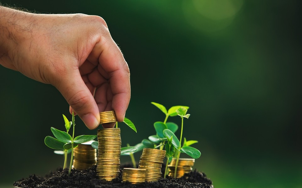 모태펀드가 4차 저이 출자사업을 완료했다. (사진=게티이미지뱅크)