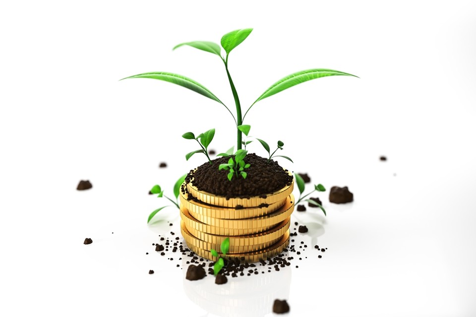 (사진=게티이미지뱅크)