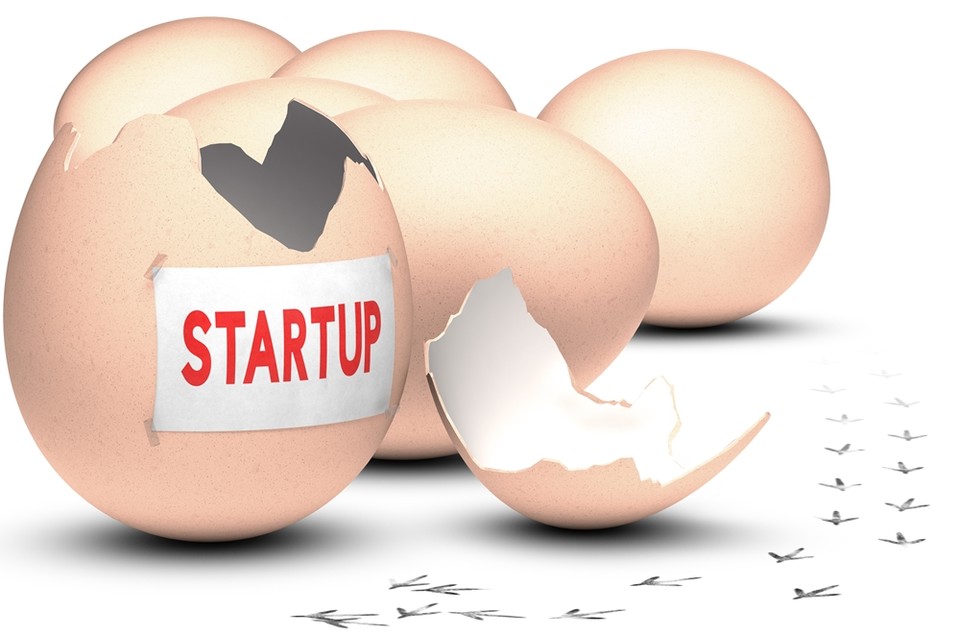 스타트업 생태계의 오늘의 화두는 '줄탁동시'이다. (사진=게티이미지뱅크)