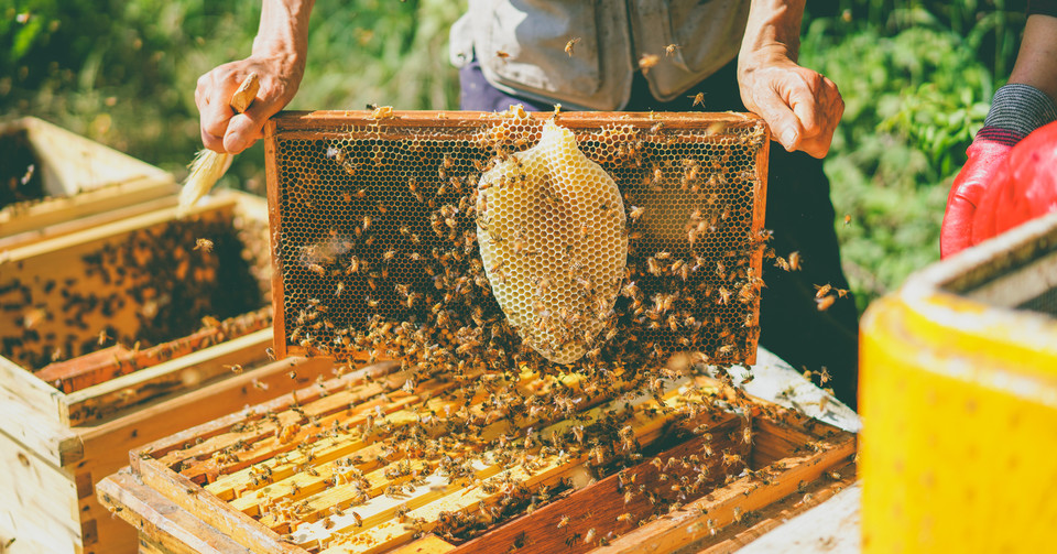 농가와 꾸준히 구축한 신뢰가 쑥쑥마켓의 가장 큰 자산 중 하나인 셈이다. (사진=리디브 제공)