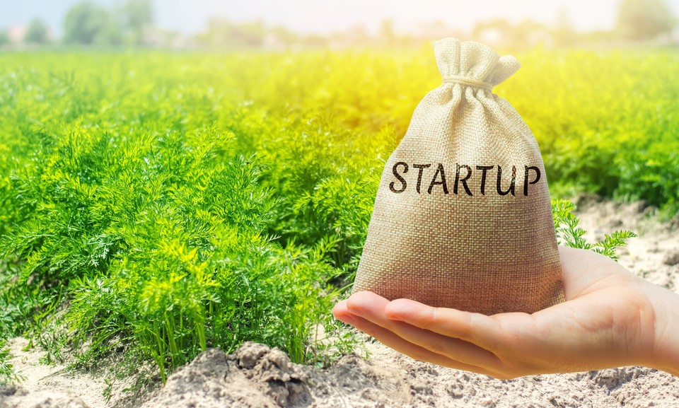 ⓒ게티이미지뱅크