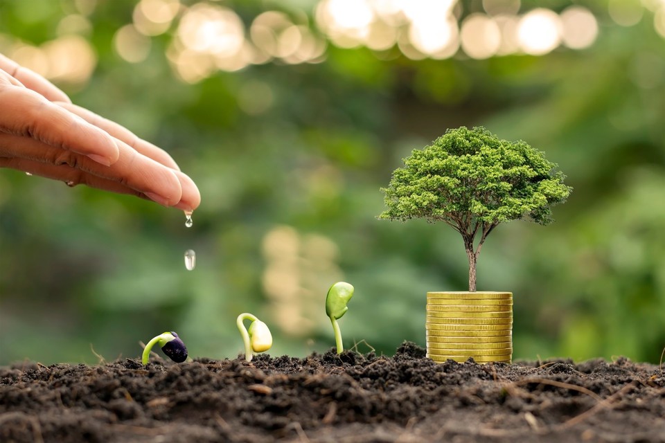 ⓒ게티이미지뱅크