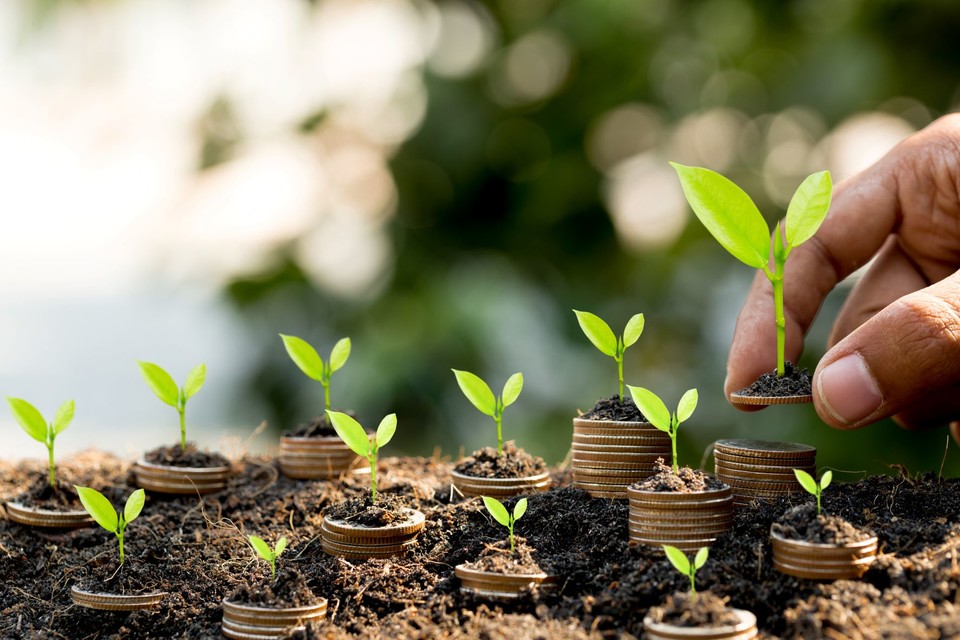 ⓒ게티이미지뱅크