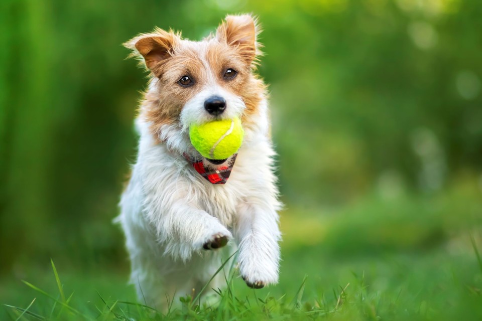 ⓒ게티이미지뱅크