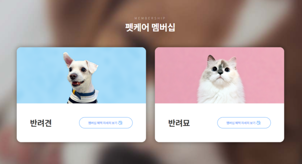 사진=펫케어 카드