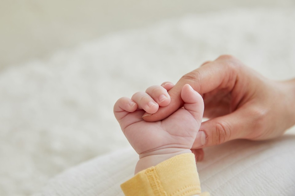 ⓒ게티이미지뱅크