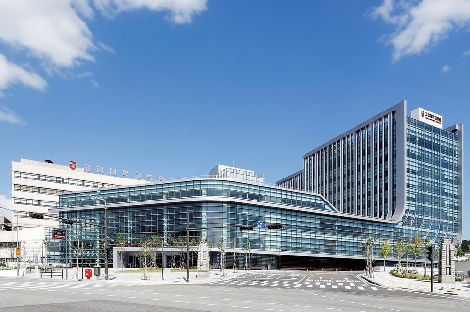 고대안암병원(사진=룰루메딕)