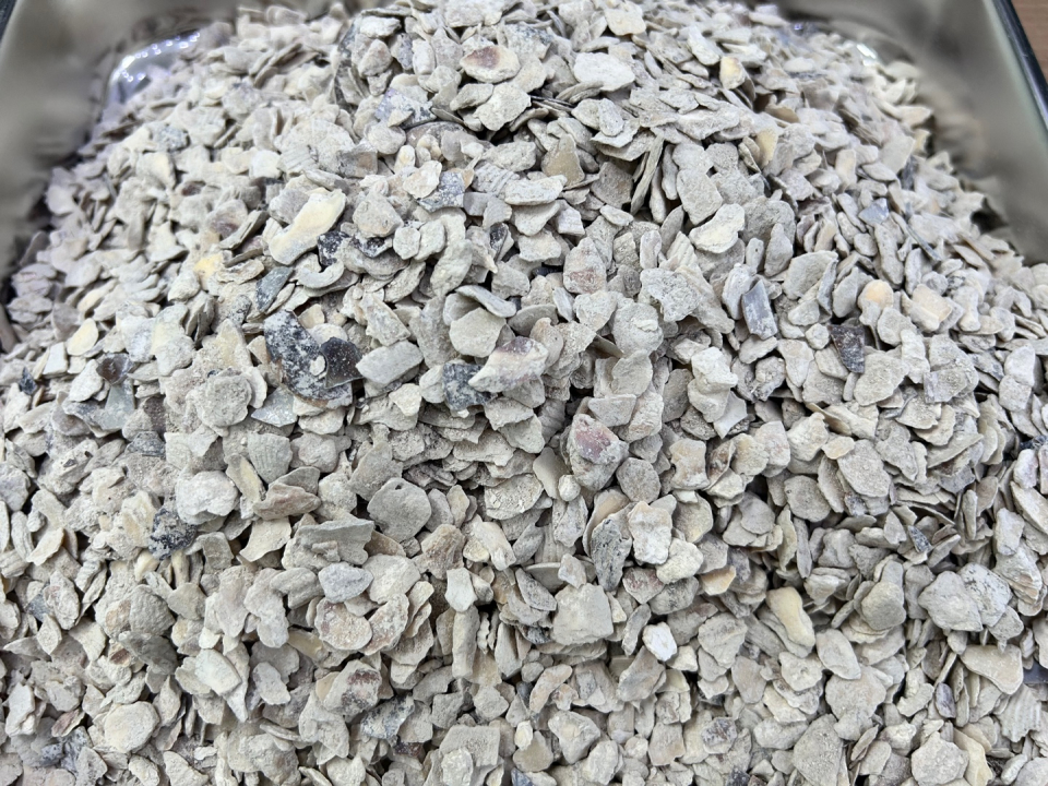생석회 대체재의 원료가 되는 굴∙조개의 패각(사진=에코쉘)