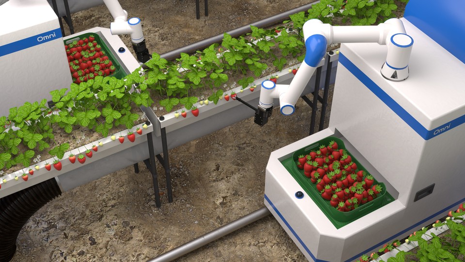 사진=메타파머스